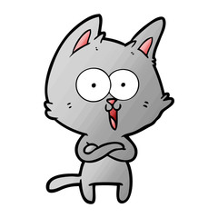 funny cartoon cat