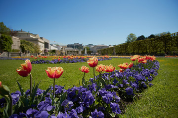 Naklejka premium Mirabell palace and garden in the spring Salzburg, Austria