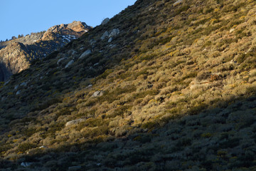 The Sherwin Range at dawn, Inyo National Forest, Sierra Nevada, California