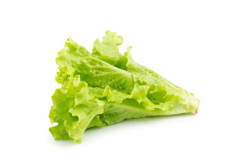 Leaf lettuce isolated on a white background