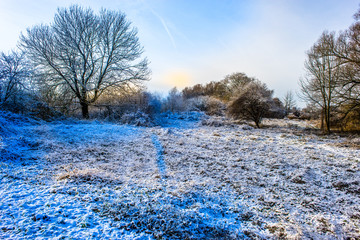 Winterlandschaft, Eis, Sonne, Winter