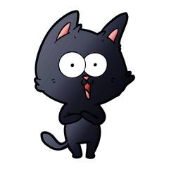 funny cartoon cat