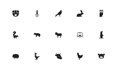 Obraz na płótnie Canvas Set of 15 editable zoology icons. Includes symbols such as hawk, tiger, pork and more. Can be used for web, mobile, UI and infographic design.
