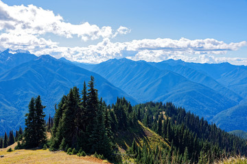 Obraz premium Scenery along the Hurricane Hill Trail