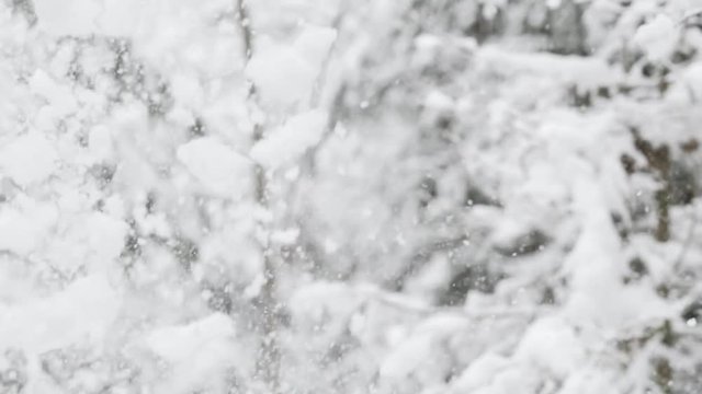 Slow Motion Shadow boxing in a forrest in Austria in the winter