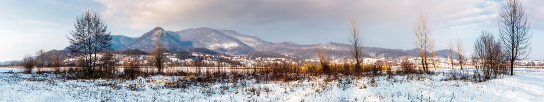 panorama of mountainous countryside in winter. trees on snowy meadow not far from the village at the foot of the mountain.