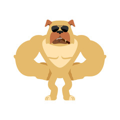 Dog Strong Cool serious. Pet smoking cigar emoji. Bulldog strict. Vector illustration