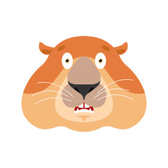 Groundhog scared OMG. Woodchuck Oh my God emoji. Frightened Marmot. Groundhog day Vector illustration