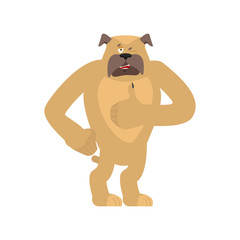 Dog thumbs up and winks. Pet happy emoji. Bulldog Vector illustration