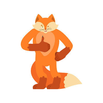 Fox thumbs up and winks. Wild beast happy emoji. she-fox Vector illustration