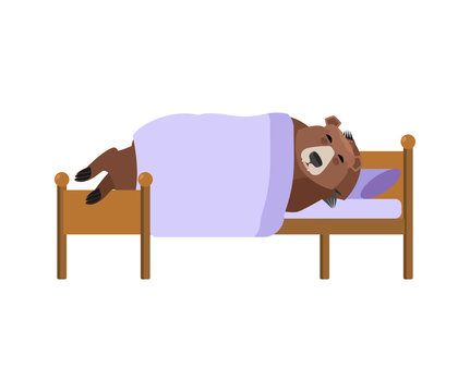 recommend clip art: Bear sleeps on bed. Grizzly asleep. Wild beast dormant. Vector illustration