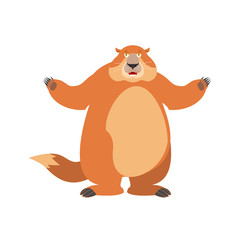 Groundhog happy. Woodchuck merry emotions. Marmot Joyful. Groundhog day Vector illustration