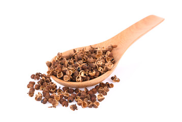 Zanthoxylum limonella on white background