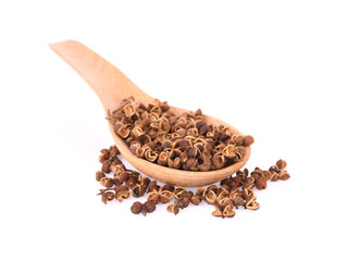 Zanthoxylum limonella on white background