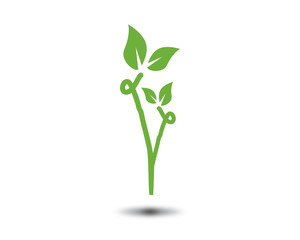leaf logo