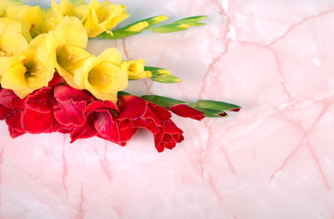 Gladiolus on the table