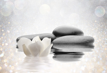 spa de piedras flor y agua
