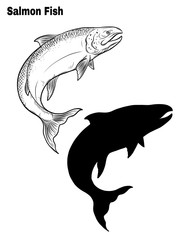 Salmon art highly detailed in line art style.Fish vector by hand drawing.Fish tattoo on white background.Black and white fish vector on white background.Salmon fish sketch for coloring book.