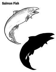 Salmon art highly detailed in line art style.Fish vector by hand drawing.Fish tattoo on white background.Black and white fish vector on white background.Salmon fish sketch for coloring book.