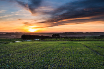 Obraz premium Sunset Cottam