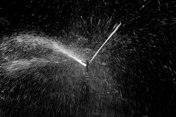 Lawn water sprinkler spraying a water - obrazy, fototapety, plakaty