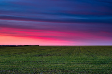 Obraz premium After the sunset Cott 