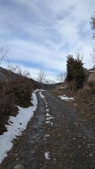 CAMINO ARRIBA