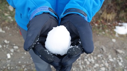 BOLA DE NIEVE NUEVA