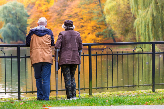 old couple in the park in autumn