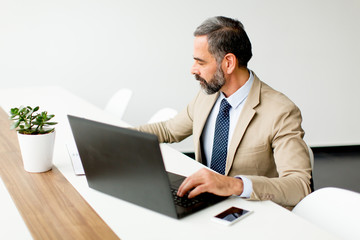 Senior businessman working on laptop computer in office