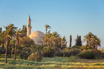 Foto op Canvas Hala Sultan Tekke or Mosque of Umm Haram is a Muslim shrine on the west bank of Larnaca © Ryzhkov Oleksandr