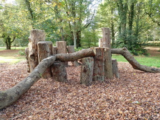 Natural play area constructed with sustainably felled oak tree trunks