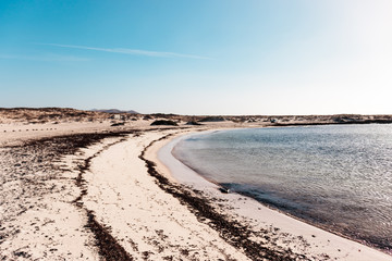 Deserted white sand beach in Fuerteventura