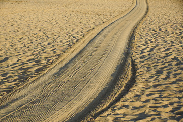 Tracks on the golden sand leading into the sea at sunset