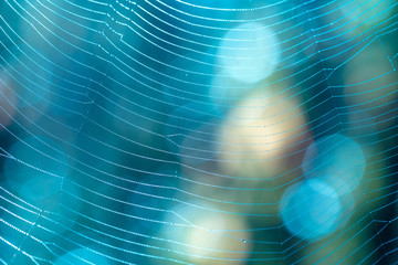 Abstract blue bokeh background. Macro shot of cobweb with shiny waterdrops.