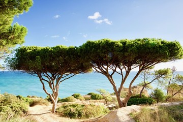 Fototapeta na wymiar Landschaft Algarve