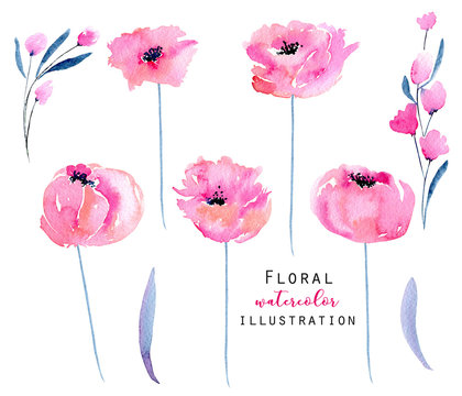 Watercolor pink poppies and floral branches set, hand drawn isolated on a white background