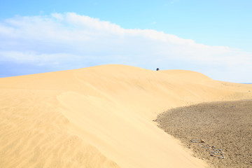 Fototapeta na wymiar Sand dunes in Maspalomas on Gran Canaria Island, Canary Islands, Spain