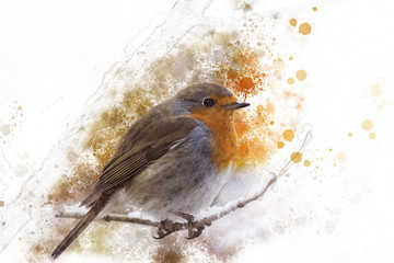 Robin sits on a snow-covered branch