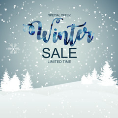Winter Sale Background Special Offer Banner Background for Business and Advertising. Vector illustration.