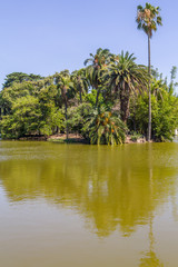 Fototapeta na wymiar Lake in Bosques de Palermo park