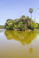 Lake in Bosques de Palermo park