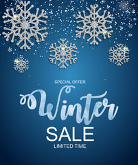 Fototapeta na wymiar Winter Sale Background Special Offer Banner Background for Business and Advertising. Vector illustration.