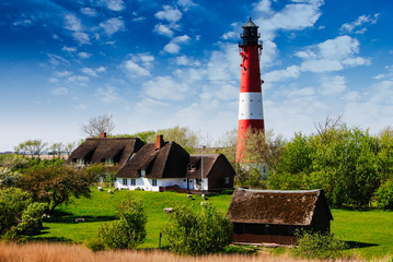 Friesische Idylle mit Leuchtturm, Schafen und Reetdächern