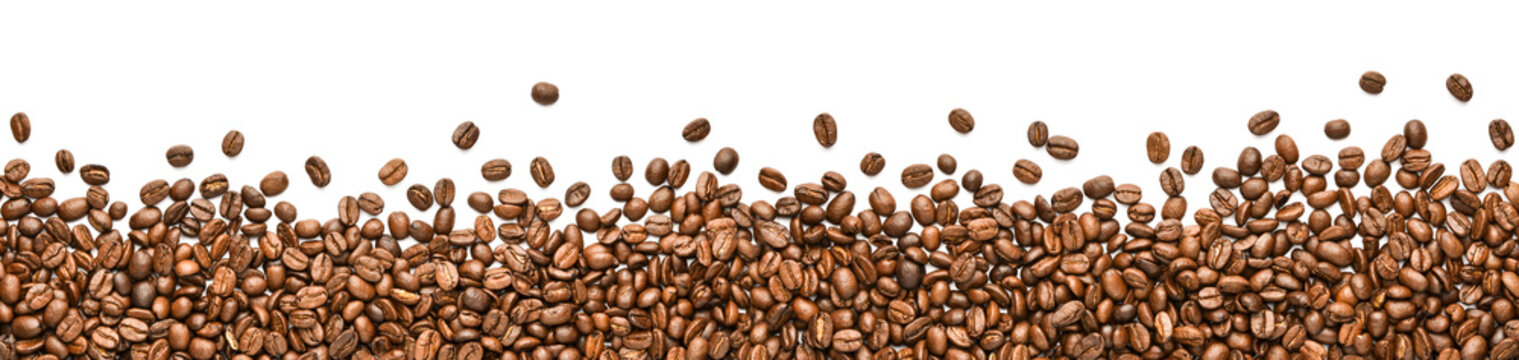 Fototapeta fresh coffee beans on wide white background