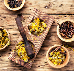 medicinal herbs and plants