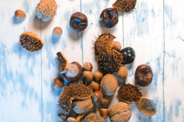 Nuts and chestnuts on a wooden white background.
