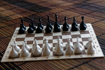 Magnetic Wooden chess Board and plastic chess pieces, on board
