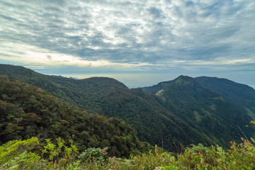 Fototapeta na wymiar Sunrise in meadows and mountains landscape, Worlds End in Horton Plains National Park Sri Lanka.