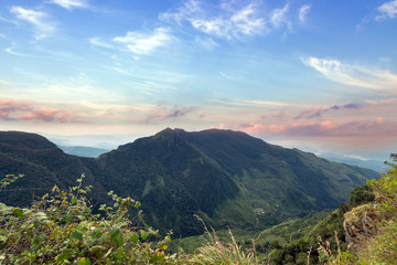 Sri Lanka – landscape cloud forest of the Horton Plains National Park, view from World's End.